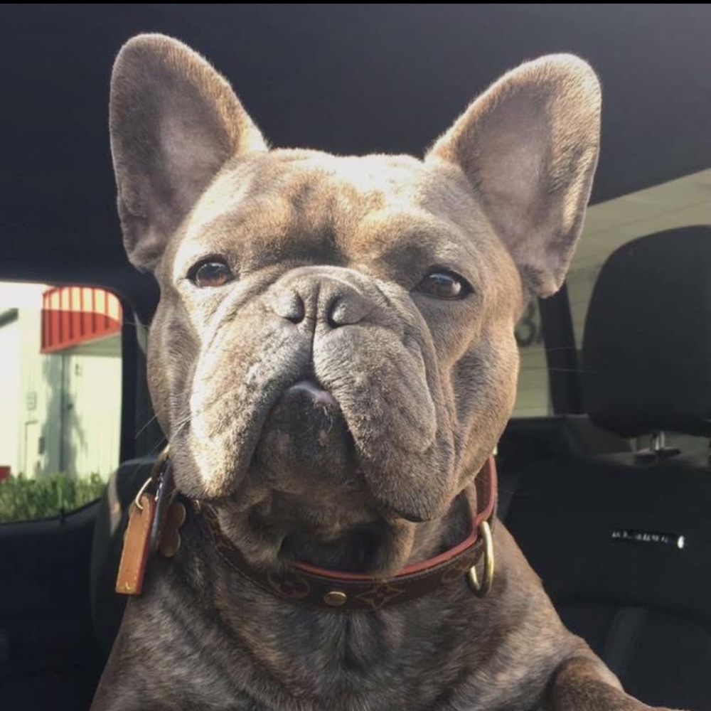 Meet your Posher, Dannie